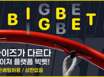 카지노사이트 빅벳 카지노 - 카지노사이트가이드