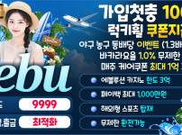 카지노사이트 세부카지노 카지노사이트가이드