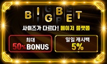 카지노사이트 빅벳 카지노사이트가이드