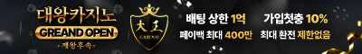 카지노사이트 대왕카지노 카지노사이트가이드