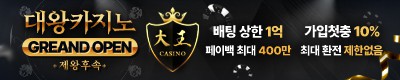 카지노사이트 대왕카지노 카지노사이트가이드