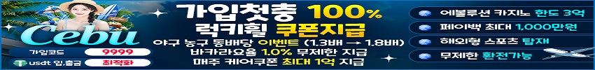 카지노사이트 세부카지노 카지노사이트가이드