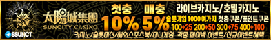 카지노사이트 썬시티카지노 카지노사이트가이드