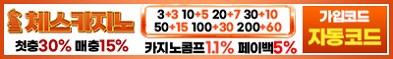 카지노사이트 체스카지노 카지노사이트가이드